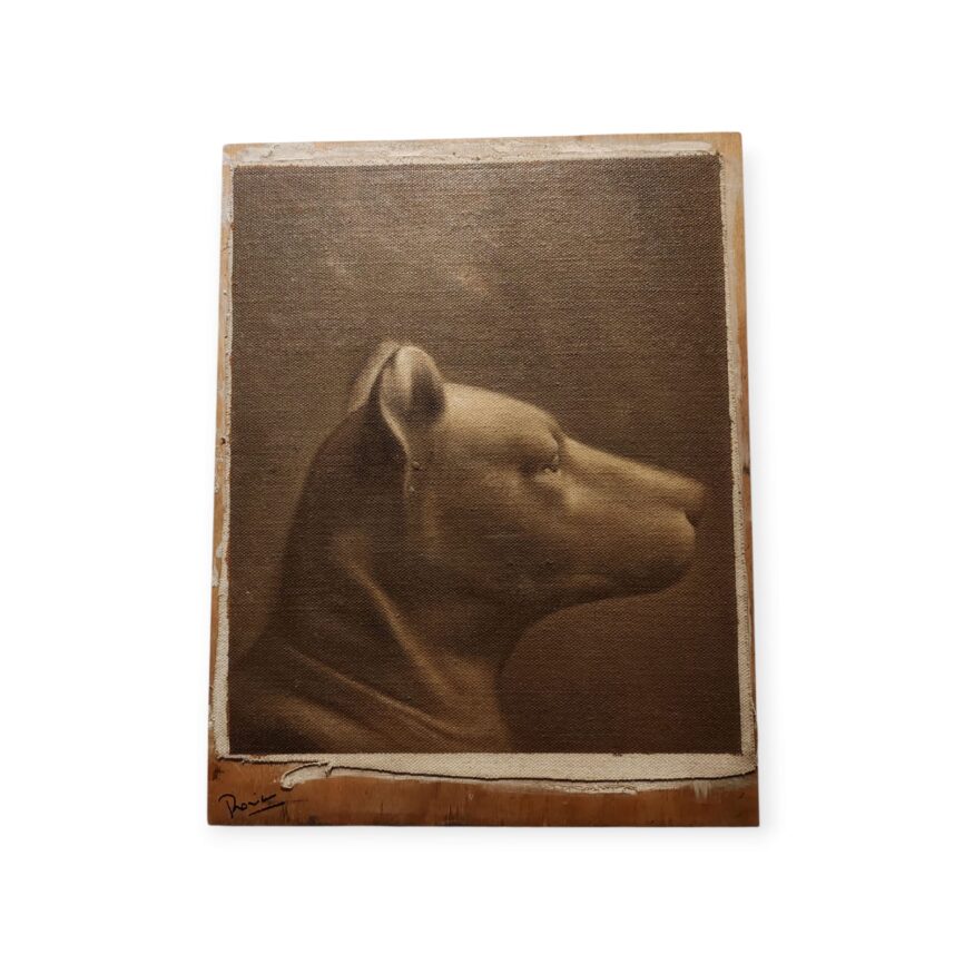 Cabeza de un Perro