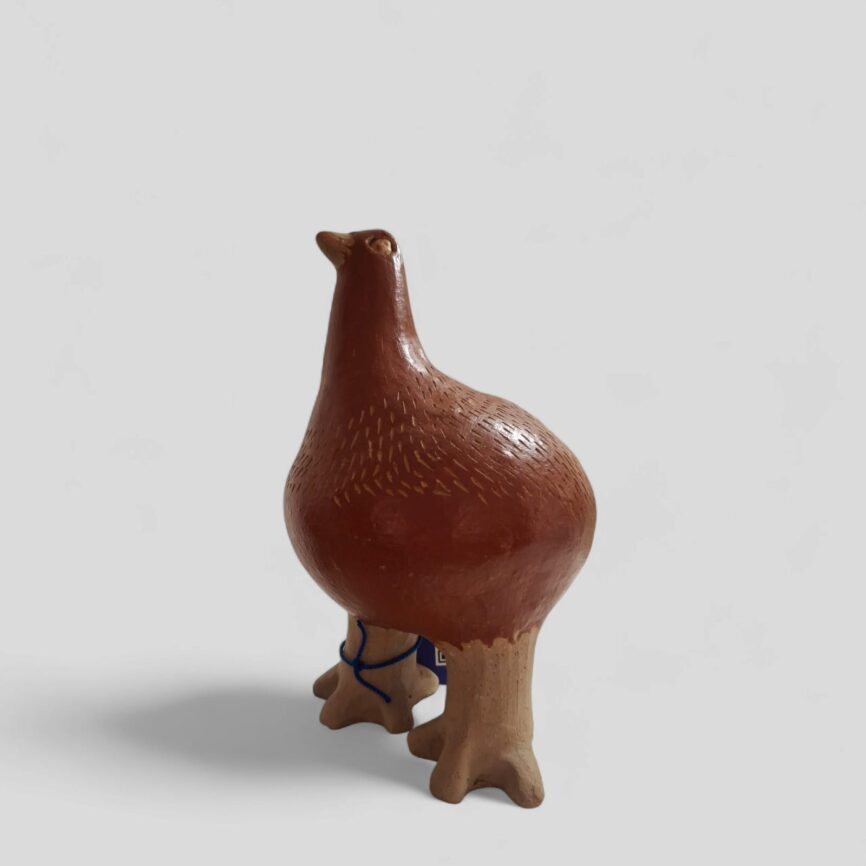 Gallineta
