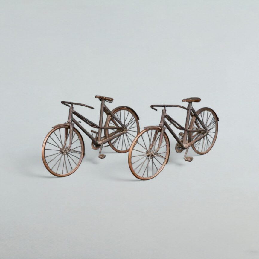 Par de Bicicletas
