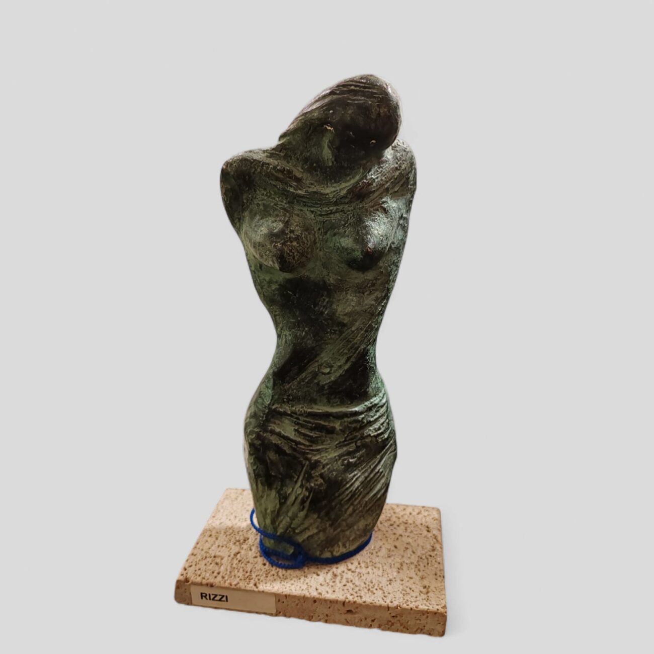 Torso