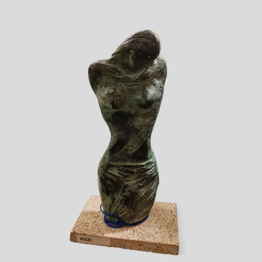 Torso