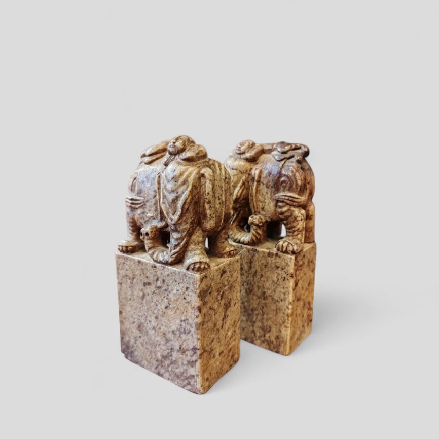 Par de aprieta libros